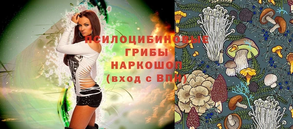 гидра Аркадак