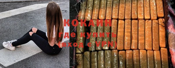гидра Аркадак