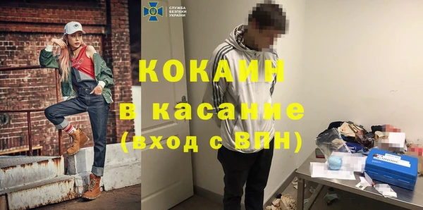 гидра Аркадак