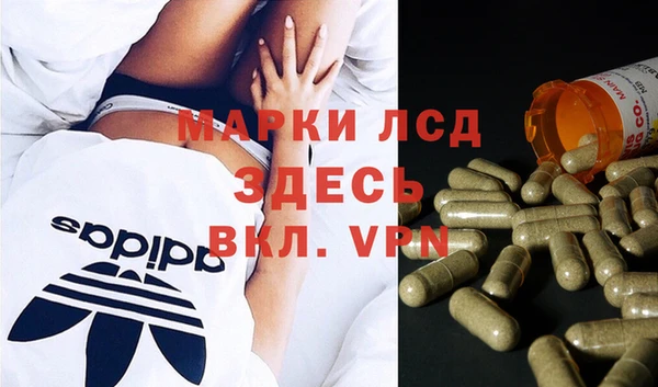 индика Армянск